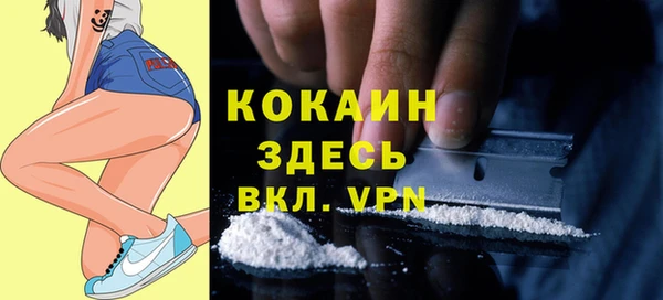 крисы Алзамай