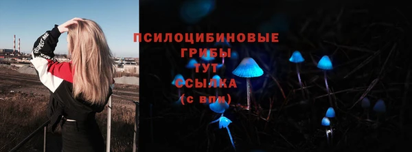 МДМА Алексеевка