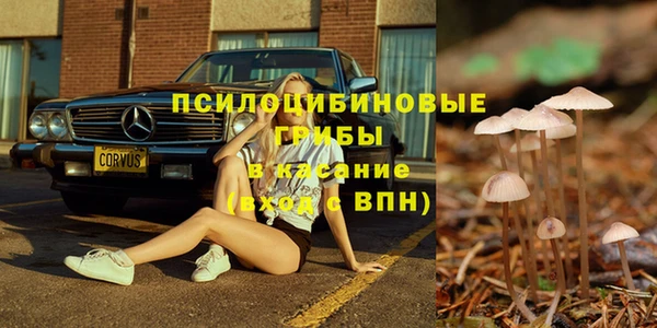 стафф Алексин
