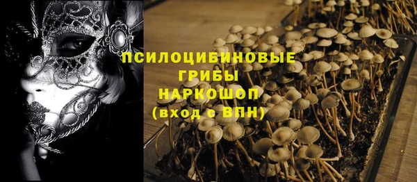 крисы Алзамай