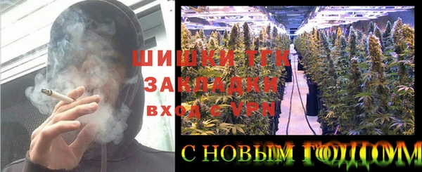крисы Алзамай