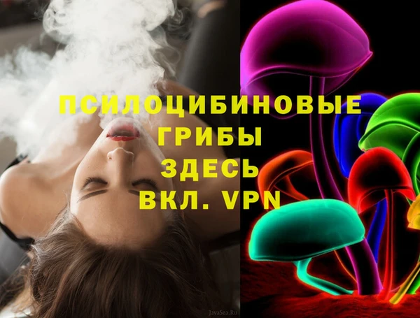 стафф Алексин