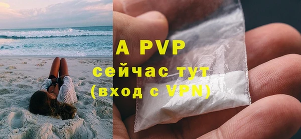 стафф Алексин