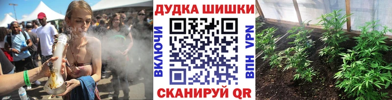 Конопля план Электрогорск